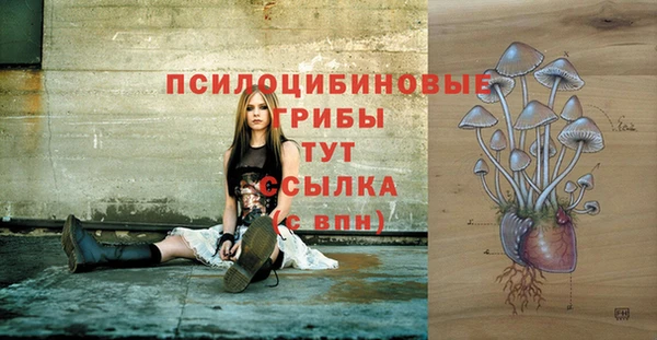 бошки Протвино