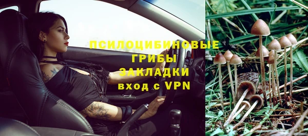 стафф Баксан
